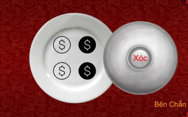 Các Thành Phần Cơ Bản Trong Xóc Đĩa